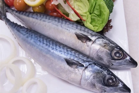 Tyynenmeren makrillin kauppa: Käytännön opas kansainväliseen hankintaan ja va...