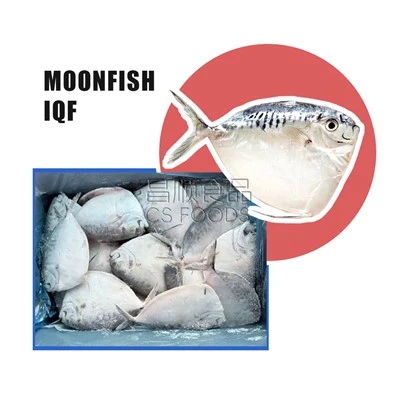 IQF Moonfish